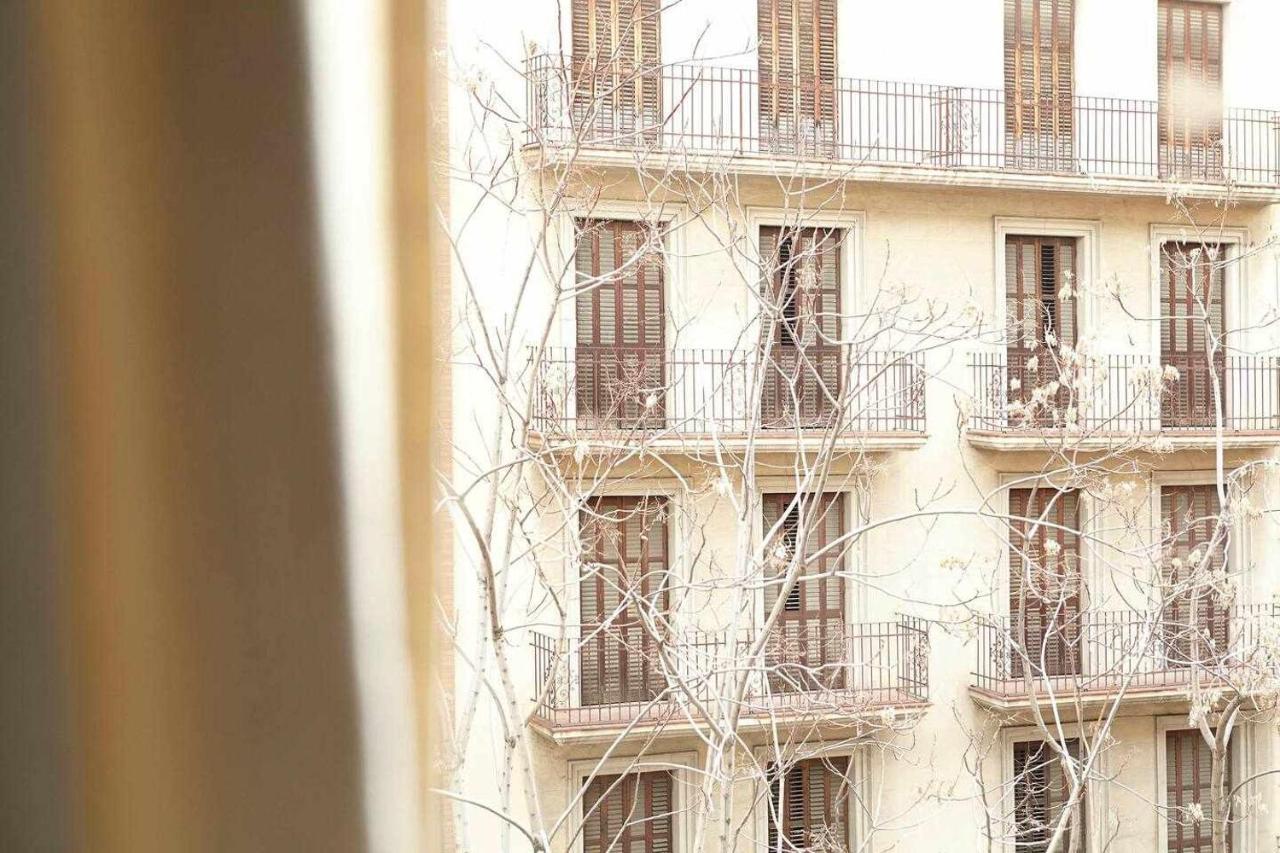 Sagrada Familia Sun Nos Preocupa Su Seguridad — Photos 2
